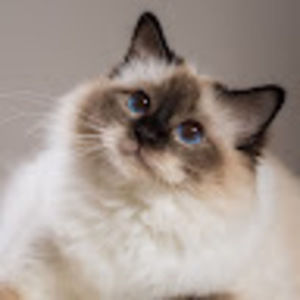 Meet your Posher, Kerry